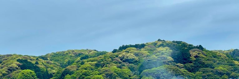 まめのもんや/ MURAKAMI ROASTERY's banner