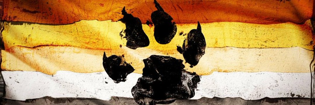 Gordito Mcay's banner