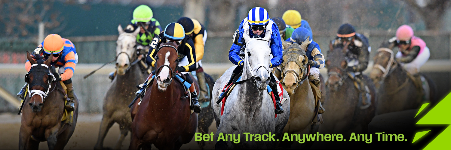 NYRA Bets's banner