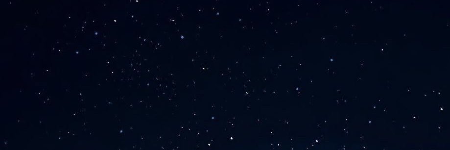 vanisse (pisciana inata)'s banner