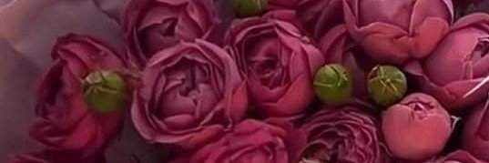 أم تامر's banner