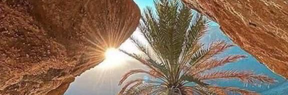 عبدالوهاب الطويل's banner