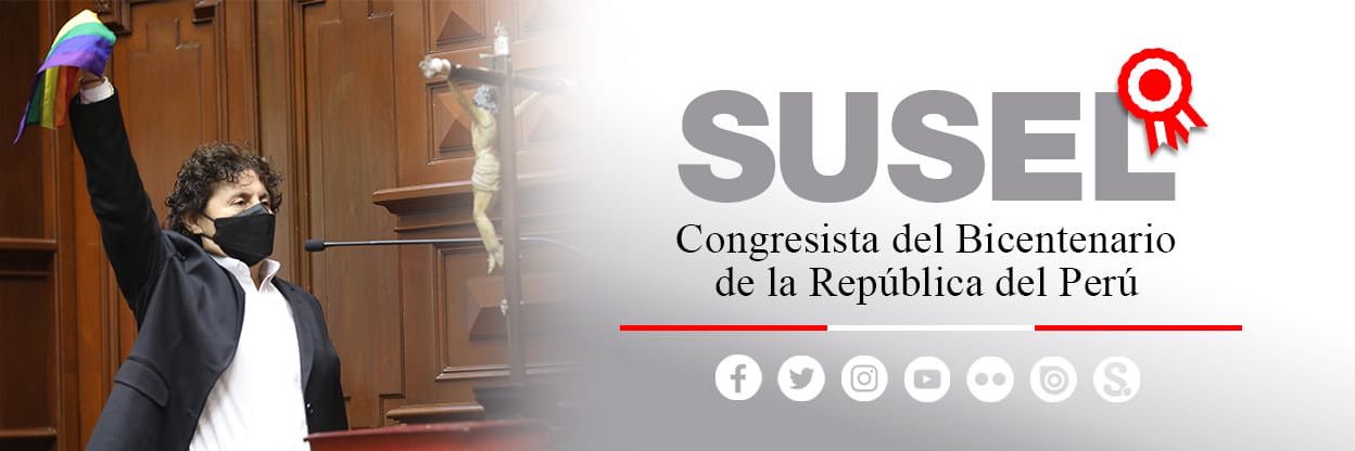 Susel Paredes's banner