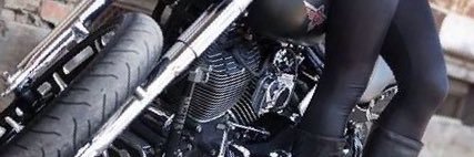 PALACIOS.🦂's banner