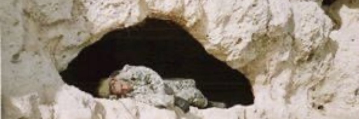 Abdullah Ağar's banner