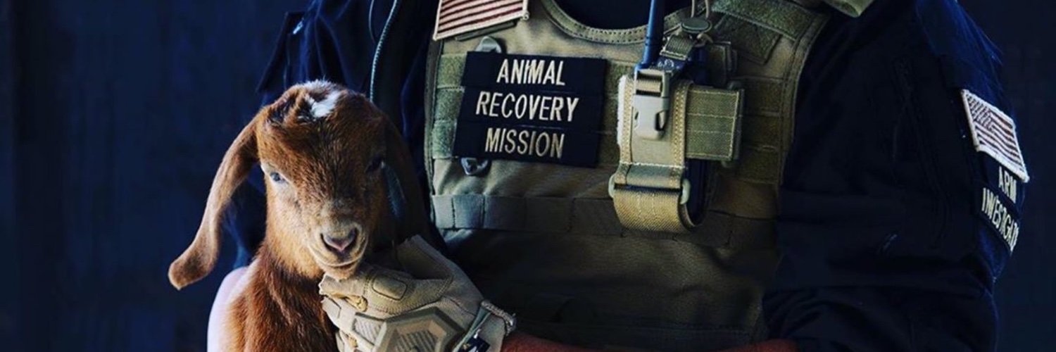 ARM Investigations's banner