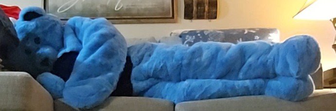 BluTheTeddy's banner