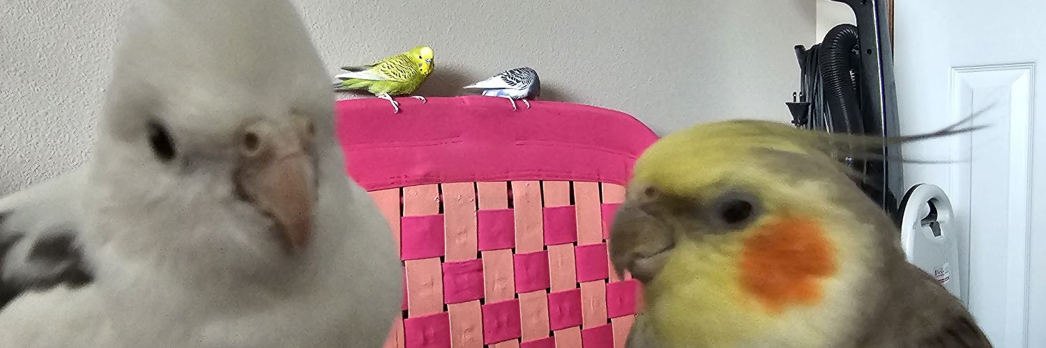 Noba and Carl: Rulers of Mankind's banner