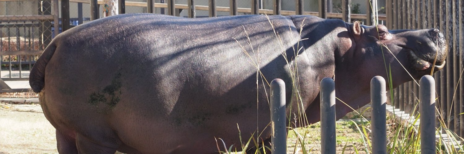 京都市動物園（公式）'s banner