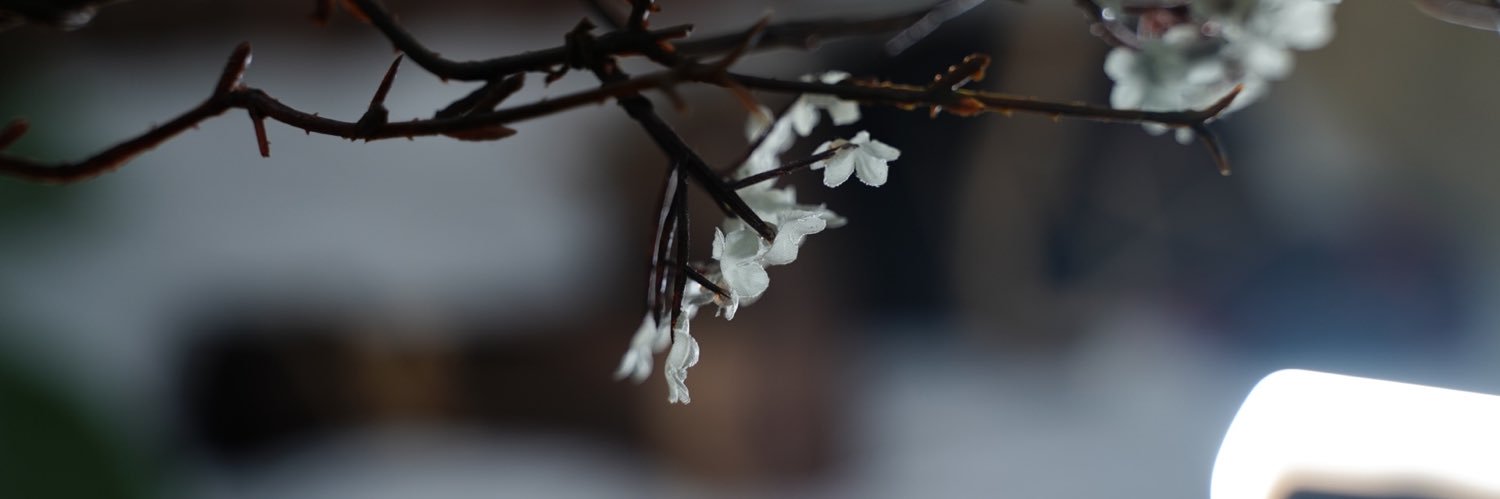 Ax的紧缚研究's banner