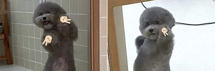 mel🍑's banner