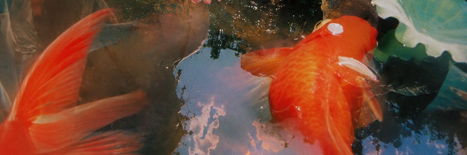 𝟡𝟜 ᴾᴸᴬʸᶠᴼᴿᴳᴱ's banner