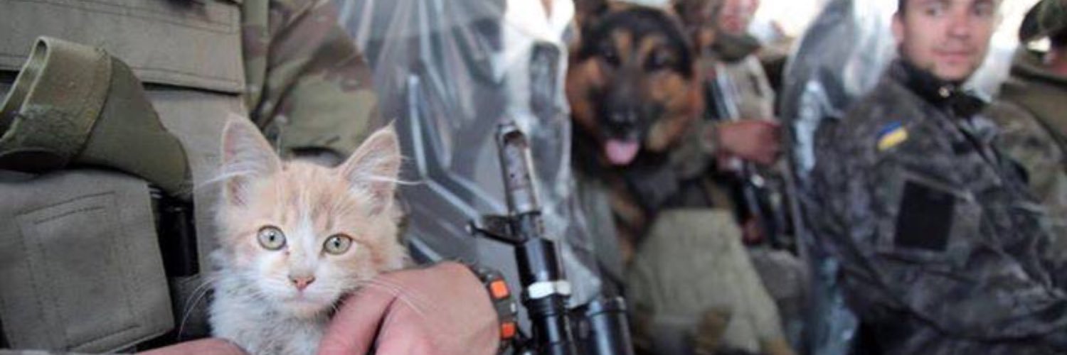 UkrARMY cats & dogs's banner
