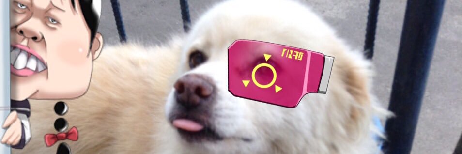 资源's banner