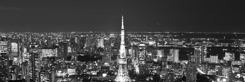 鳥のつぶやき's banner