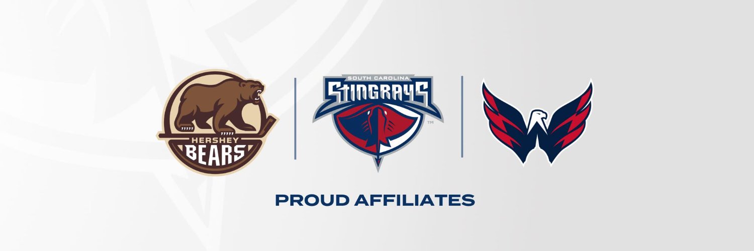South Carolina Stingrays's banner