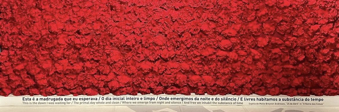Inês Amaral's banner