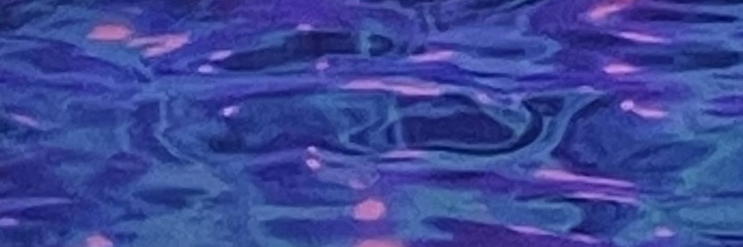 josu's banner