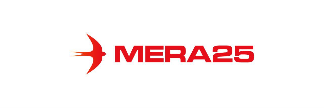 DiEM25 & MERA25 Berlin's banner