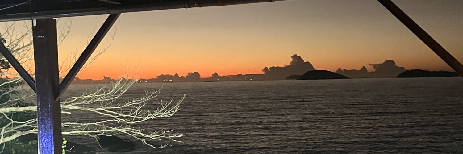rafaela justus da silva's banner