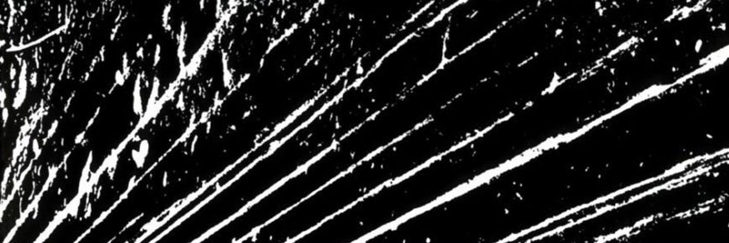 𝐃𝐕𝐂𝐄 🌲🏴‍☠️⚙️🗡️'s banner