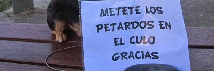 Polet ♥️🇨🇱♀️🐶🐈🐾's banner