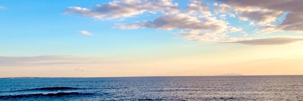髙橋 健太🦦's banner