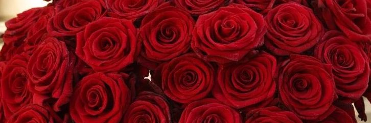 أم بسومه.. 🌸's banner