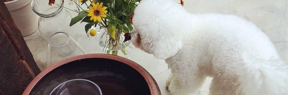 윤아스키's banner