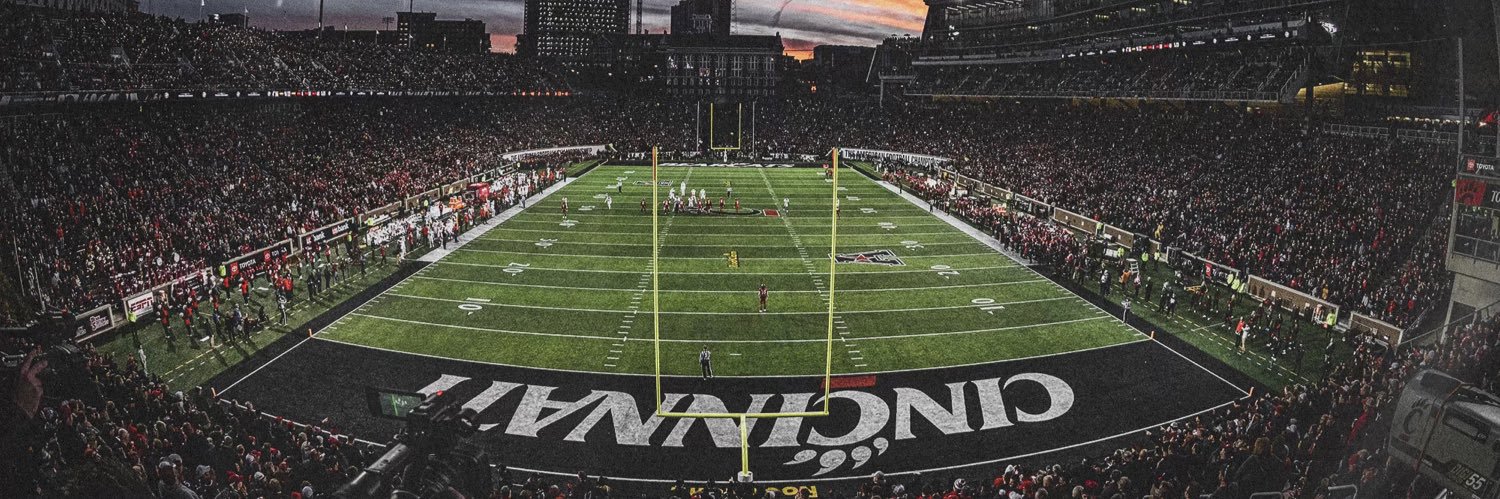 Vijay Stingley's banner