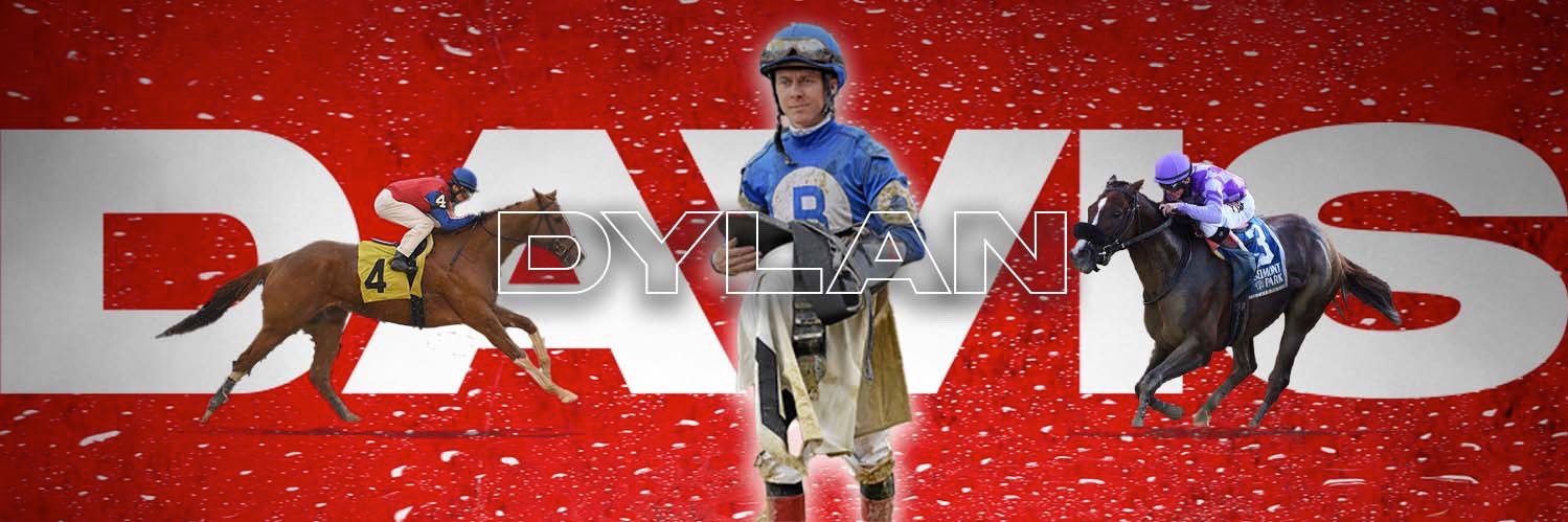 Dylan Davis 🇺🇸🏇🍀's banner