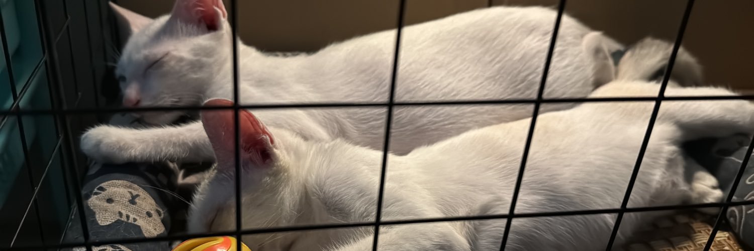 My Pets Cat Dog Familys's banner