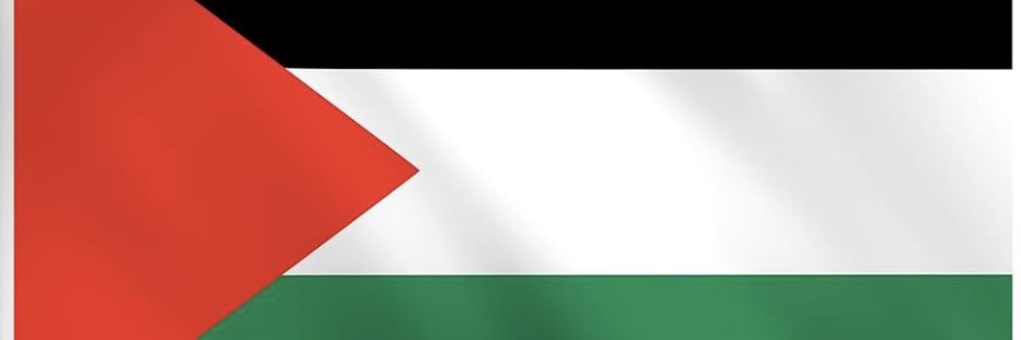 Dallas's banner