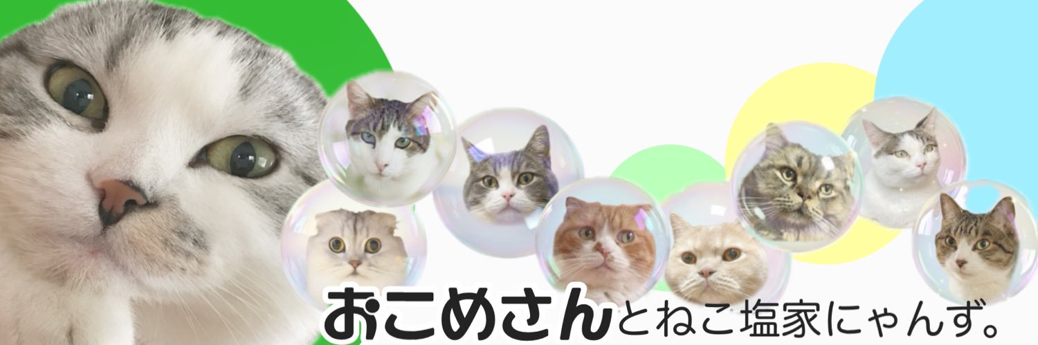 おこめさんとねこ塩家にゃんず。's banner