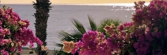𝑟𝑖𝑛໋🌷͙֒✧˚.🎀༘⋆˚˖𓍢's banner
