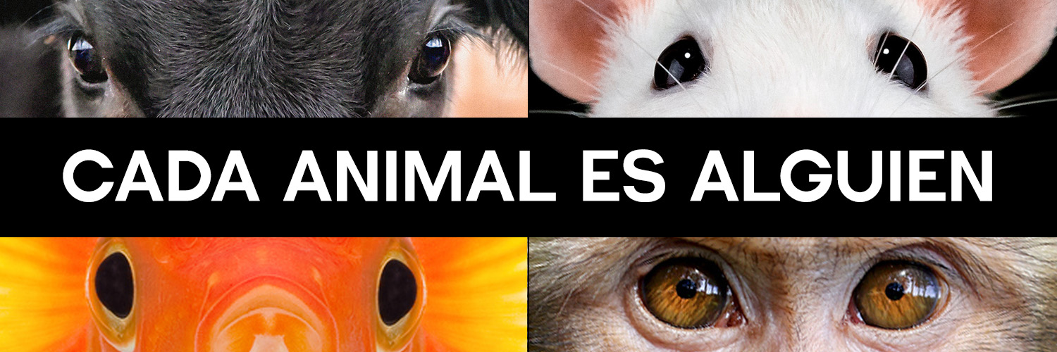 PETA Latino's banner