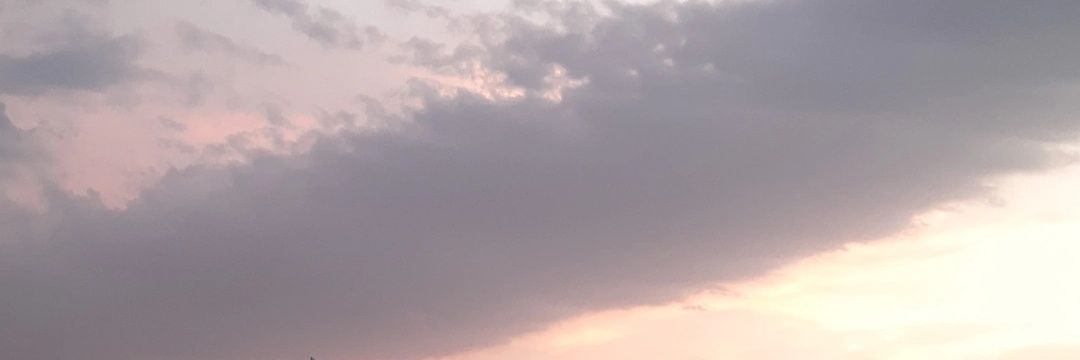 Kabir's banner