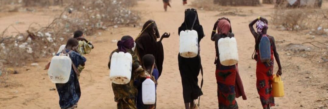 Fatuma Mohamed M. Ali's banner