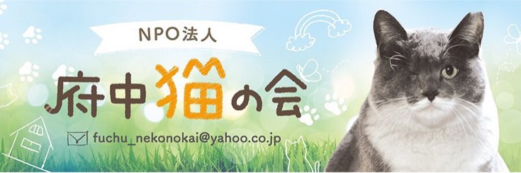 NPO法人 府中猫の会's banner