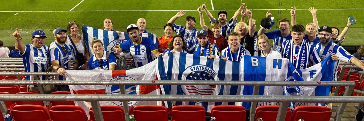 Stateside Seagulls's banner