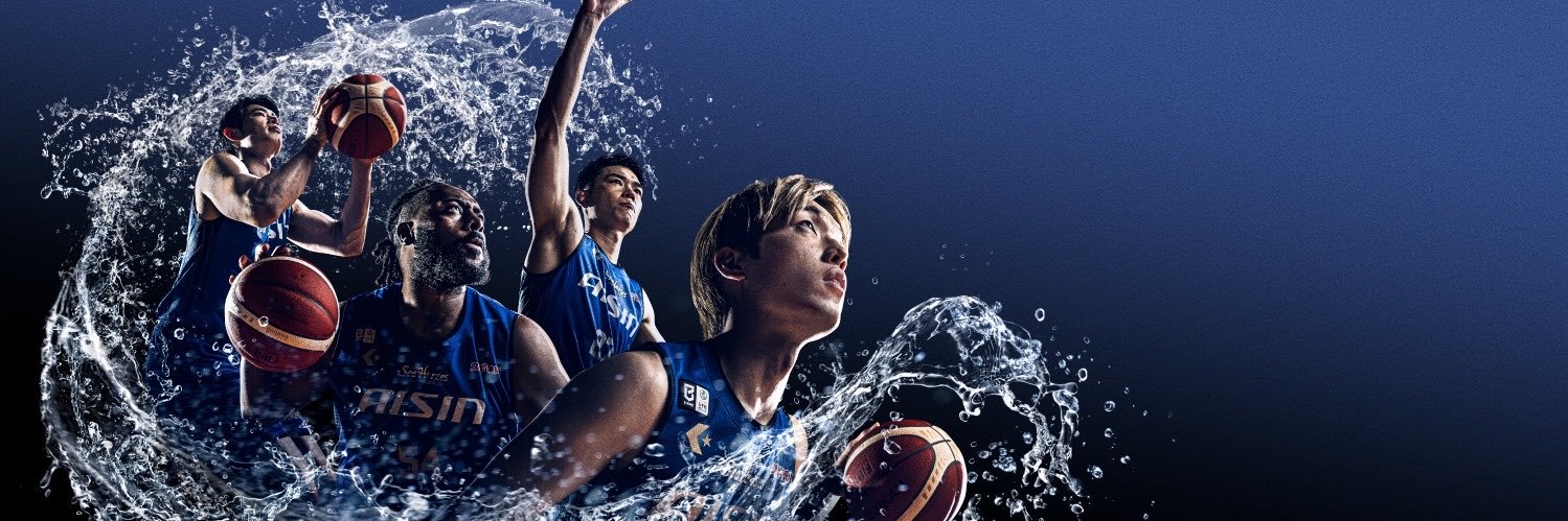 シーホース三河's banner