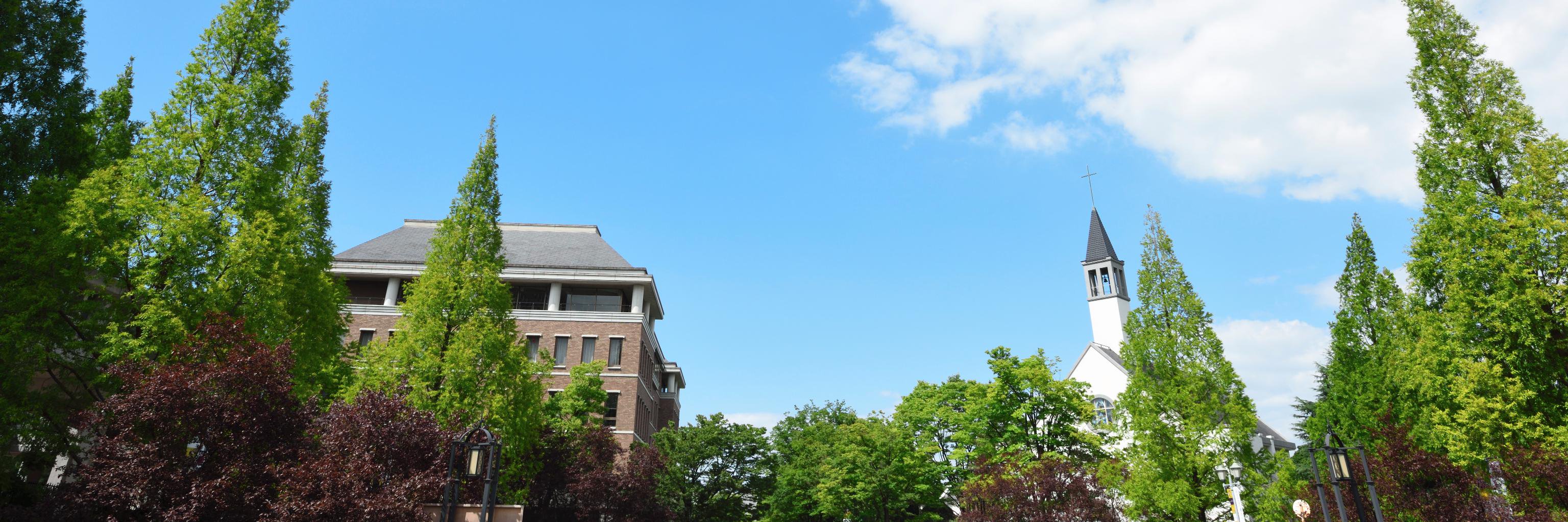 桃山学院大学's banner