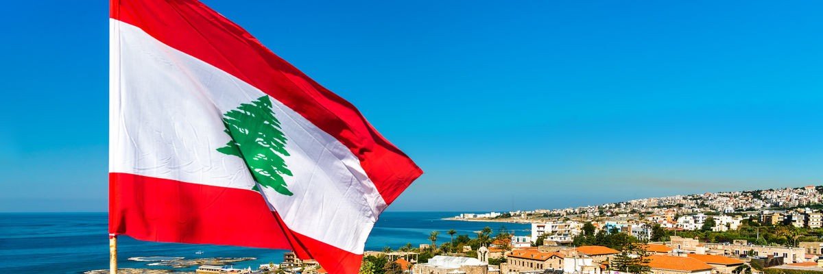 Diana Zeineddine's banner