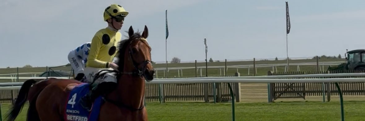 chris🐎's banner