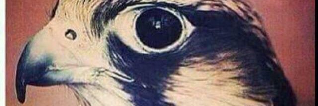 حسن بخيت القرشي's banner