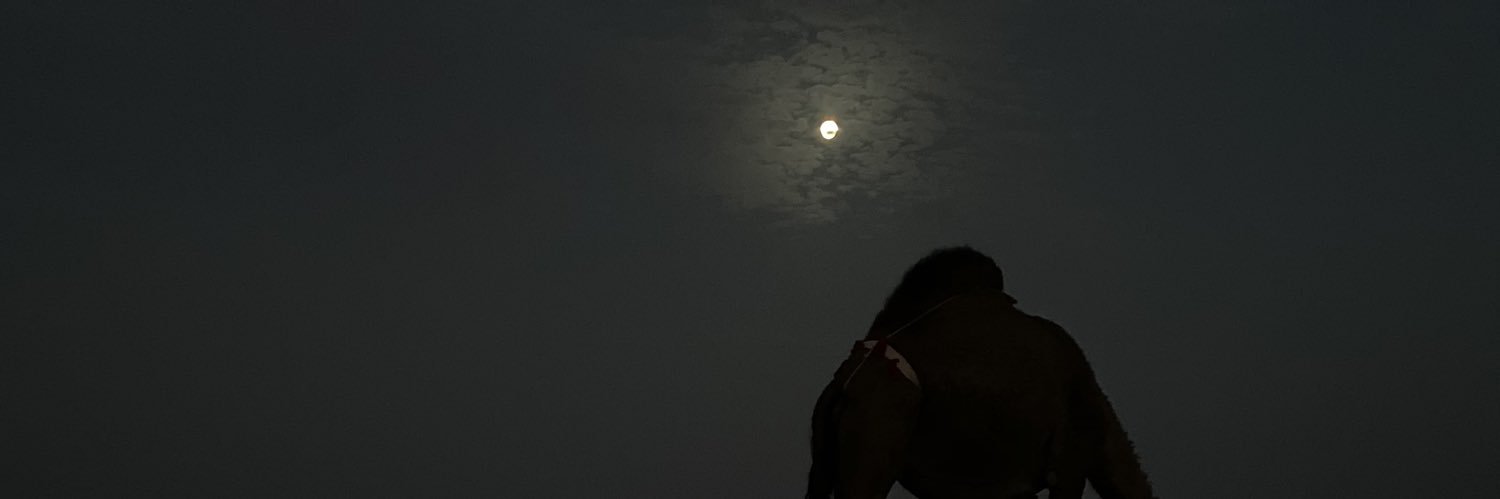 بدري صالح الشيب's banner
