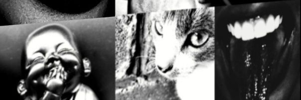 @mis_sriri's banner