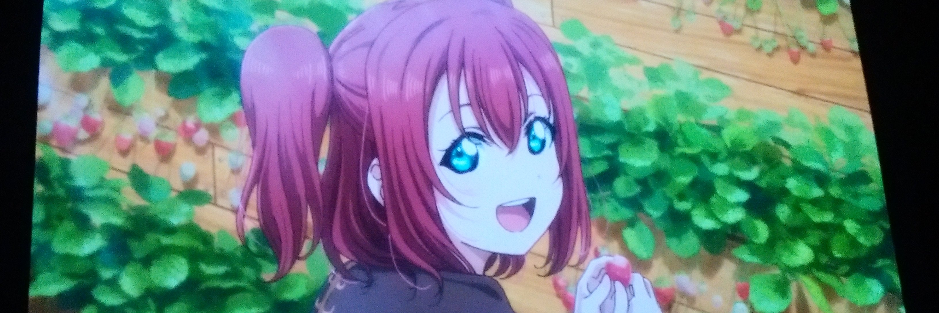 🍭ピギウサ🐇黒澤ルビィちゃんに真剣🍭's banner