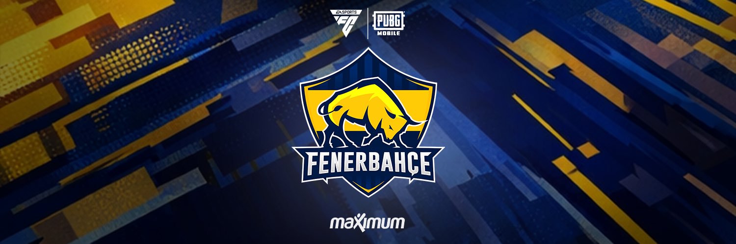 Fenerbahçe Espor's banner