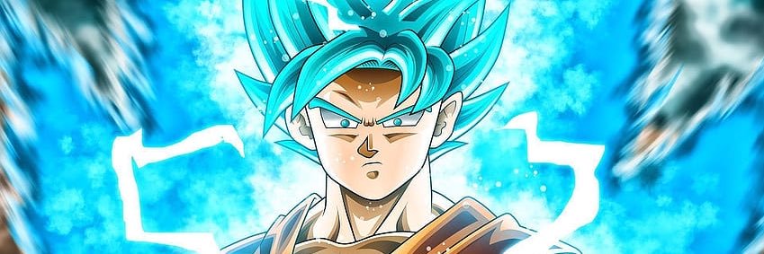 Cesar's banner